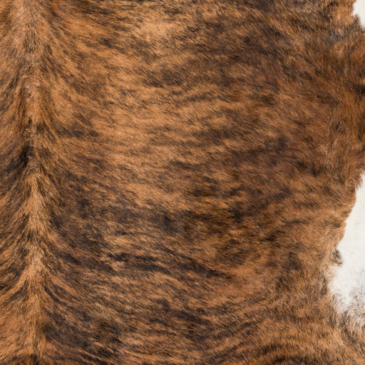 Duke Camel Rug in Various Sizes Hot on Sale