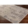 Aesop Chenille-polyester Medium Gray Rug in Various Sizes Online