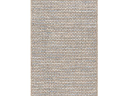 Santa Cruz Indoor Outdoor Rug in Various Sizes Fashion