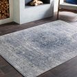 Durham Medium Gray Rug in Various Sizes on Sale