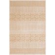 Aesop Chenille-polyester Khaki Rug in Various Sizes Supply