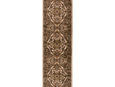 Riley Rly-5038 Dark Brown Rug in Various Sizes Fashion