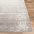 Monte Carlo Mnc-2338 Light Gray Rug in Various Sizes For Sale