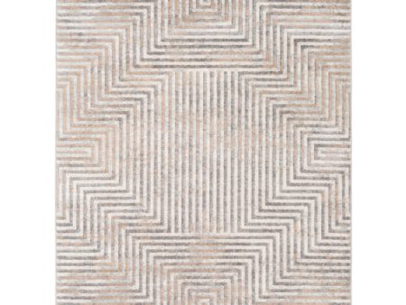 Remy Rmy-2307 Taupe Rug in Various Sizes Cheap