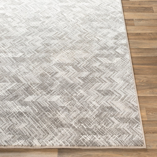 Contempo Cpo-3848 Light Gray Rug in Various Sizes For Discount