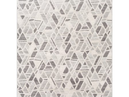 Remy Rmy-2309 Light Gray Rug in Various Sizes Online Hot Sale