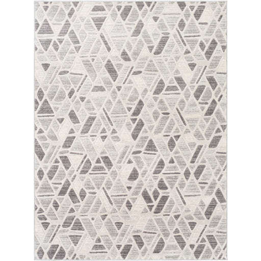 Remy Rmy-2309 Light Gray Rug in Various Sizes Online Hot Sale