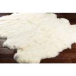 Sheepskin Sheepskin Ivory Rug in Various Sizes Online now