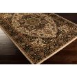 Riley Rly-5038 Dark Brown Rug in Various Sizes Fashion