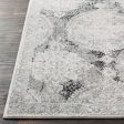 Harput Light Gray Rug in Various Sizes Cheap