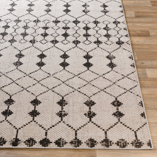 Rafetus Ets-2353 Charcoal Rug in Various Sizes Online Sale