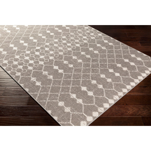 Rafetus Ets-2355 Light Gray Rug in Various Sizes Online