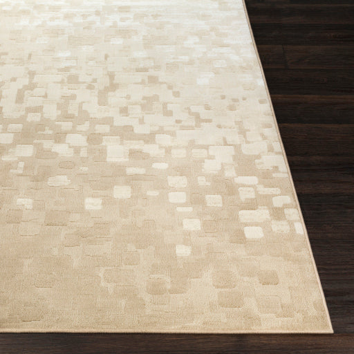 Contempo Cpo-3841 Beige Rug in Various Sizes For Sale