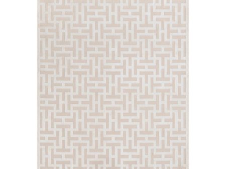 Aesop Asp-2315 Chenille-polyester Beige Rug in Various Sizes Sale