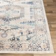 Dublin Dub-2311 Aqua Rug in Various Sizes Sale