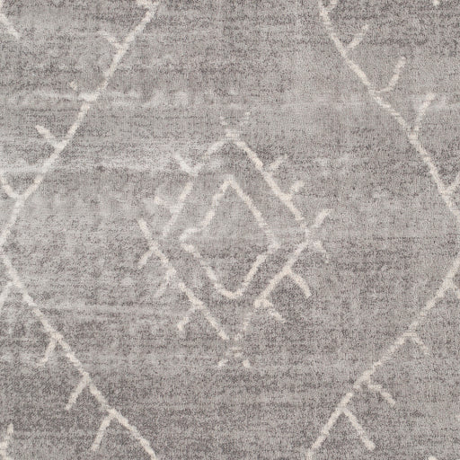 Roma Rom-2336 Medium Gray Rug in Various Sizes Discount