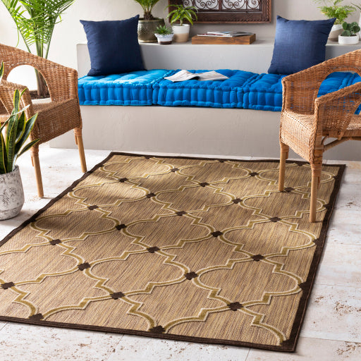 Portera Indoor Outdoor Polyolefin Dark Brown Rug in Various Sizes on Sale