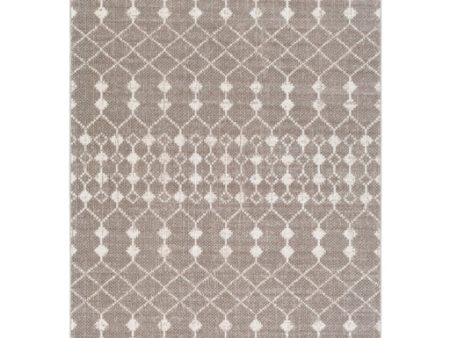 Rafetus Ets-2355 Light Gray Rug in Various Sizes Online