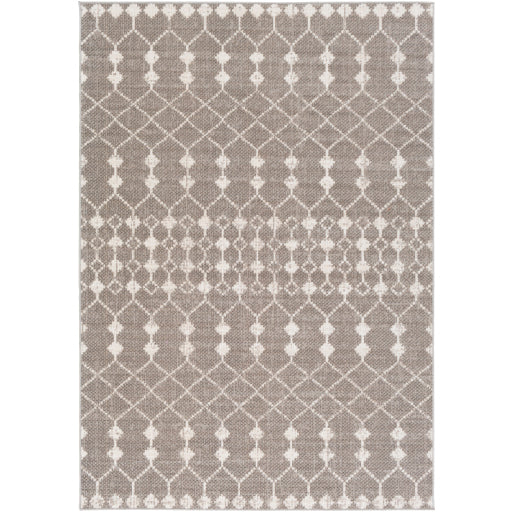 Rafetus Ets-2355 Light Gray Rug in Various Sizes Online