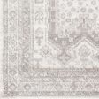 Monte Carlo Mnc-2337 Light Gray Rug in Various Sizes Fashion