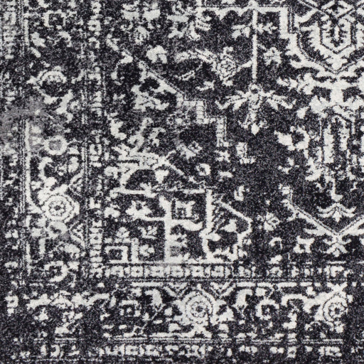 Harput Hap-1087 Black Rug in Various Sizes For Discount