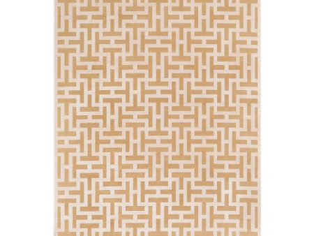 Aesop Asp-2313 Chenille-polyester Beige Rug in Various Sizes Online