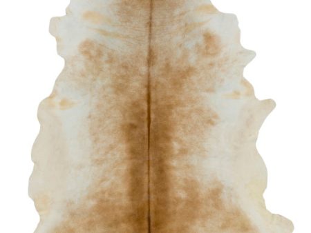 Patagonia Camel Rug 5 W x 7 L Online Sale