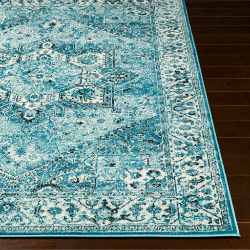 Mumbai Mum-2309 Aqua Rug in Various Sizes Supply