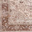 Ephesians Dark Brown Rug in Various Sizes Online Hot Sale